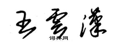 朱錫榮王雲漢草書個性簽名怎么寫