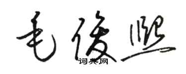 駱恆光毛俊熙草書個性簽名怎么寫