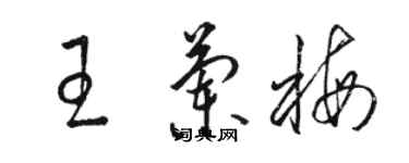 駱恆光王蘭梅草書個性簽名怎么寫