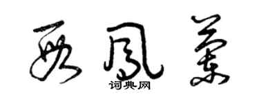 曾慶福段鳳蘭草書個性簽名怎么寫