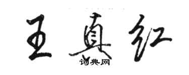 駱恆光王真紅行書個性簽名怎么寫