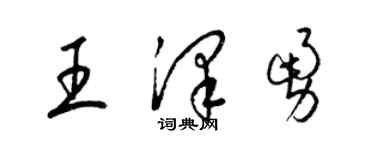 梁錦英王澤勇草書個性簽名怎么寫