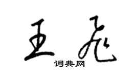梁錦英王飛草書個性簽名怎么寫