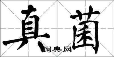 翁闓運真菌楷書怎么寫