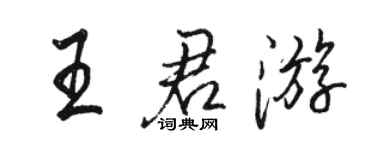 駱恆光王君遊行書個性簽名怎么寫