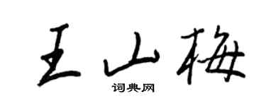 王正良王山梅行書個性簽名怎么寫