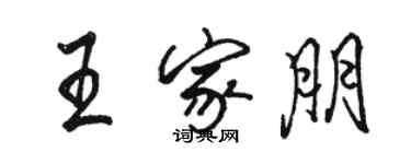 駱恆光王家朋行書個性簽名怎么寫