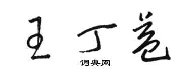 駱恆光王丁益草書個性簽名怎么寫