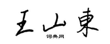 王正良王山東行書個性簽名怎么寫
