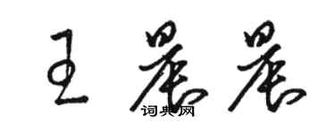 駱恆光王晨晨草書個性簽名怎么寫