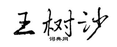 曾慶福王樹沙行書個性簽名怎么寫