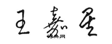 駱恆光王嘉星草書個性簽名怎么寫