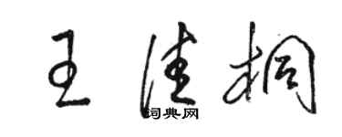 駱恆光王佳桐草書個性簽名怎么寫