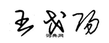 朱錫榮王戈陽草書個性簽名怎么寫