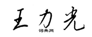 王正良王力光行書個性簽名怎么寫