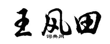 胡問遂王風田行書個性簽名怎么寫