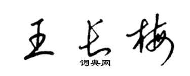 梁錦英王長梅草書個性簽名怎么寫