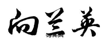 胡問遂向蘭英行書個性簽名怎么寫