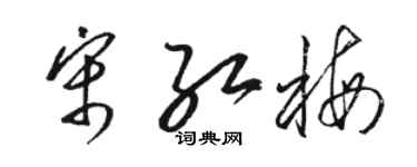 駱恆光宋紅梅草書個性簽名怎么寫