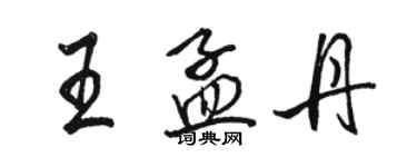 駱恆光王孟丹行書個性簽名怎么寫