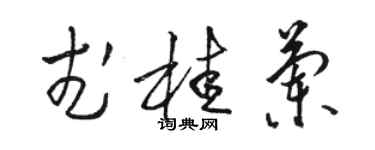 駱恆光武桂蘭草書個性簽名怎么寫