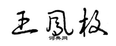 曾慶福王鳳枚草書個性簽名怎么寫