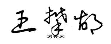 曾慶福王攀胡草書個性簽名怎么寫