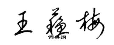 梁錦英王蘇梅草書個性簽名怎么寫