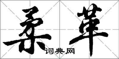 胡問遂柔革行書怎么寫