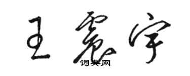 駱恆光王震宇草書個性簽名怎么寫