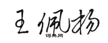 駱恆光王佩楊草書個性簽名怎么寫