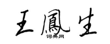 王正良王鳳生行書個性簽名怎么寫