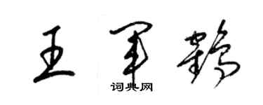 梁錦英王軍鶴草書個性簽名怎么寫