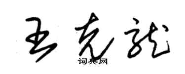 朱錫榮王克龍草書個性簽名怎么寫