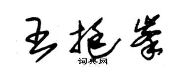 朱錫榮王挺峰草書個性簽名怎么寫