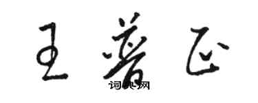 駱恆光王普正草書個性簽名怎么寫