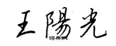 王正良王陽光行書個性簽名怎么寫