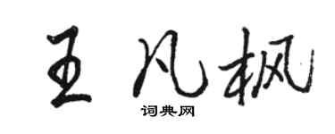 駱恆光王凡楓行書個性簽名怎么寫