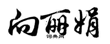 胡問遂向麗娟行書個性簽名怎么寫