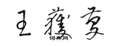 駱恆光王獲慶草書個性簽名怎么寫