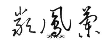 駱恆光嚴鳳蘭草書個性簽名怎么寫