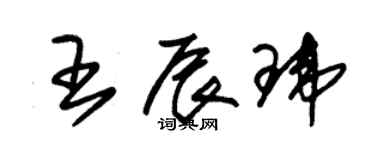 朱錫榮王辰瑋草書個性簽名怎么寫