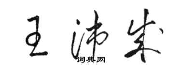 駱恆光王沛成草書個性簽名怎么寫