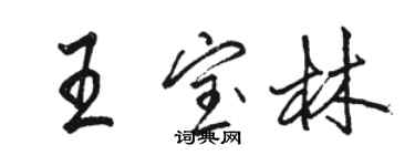 駱恆光王寶林行書個性簽名怎么寫