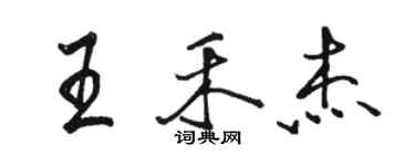 駱恆光王禾傑行書個性簽名怎么寫