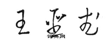 駱恆光王聖武草書個性簽名怎么寫