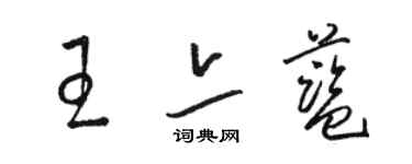 駱恆光王亦藍草書個性簽名怎么寫