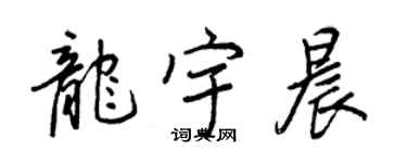 王正良龍宇晨行書個性簽名怎么寫