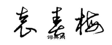 曾慶福袁春梅草書個性簽名怎么寫