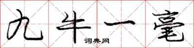 龐中華九牛一毫行書怎么寫